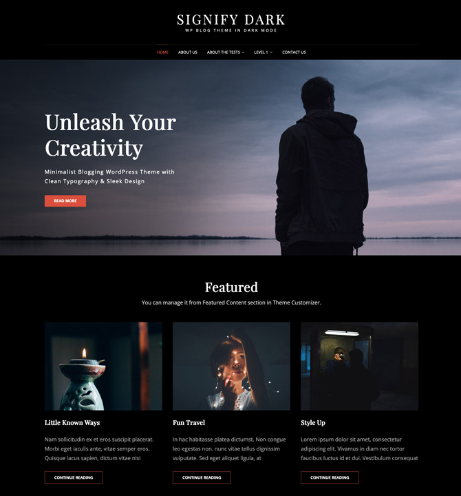 Signify Dark is a Free dark Blog and Corporate WordPress Theme